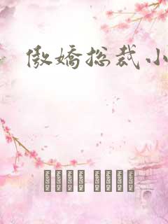 傲娇总裁小宠妻