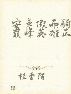 安卓假面骑士超巅峰英雄正版下载