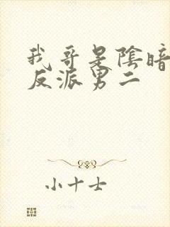 我哥是阴暗病娇反派男二