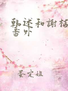 韩述和谢桔年 番外