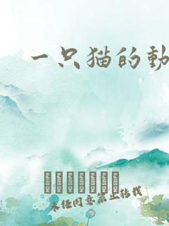 一只猫的动画片
