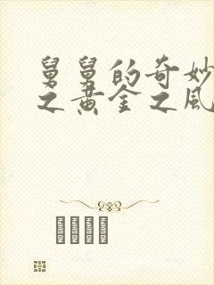 舅舅的奇妙冒险之黄金之风