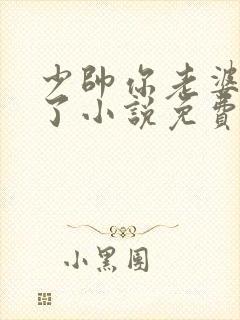 少帅你老婆又跑了小说免费看