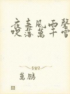 夜来风雨声by吹落万千雪全文阅读