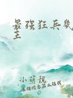 最强狂兵几个女主