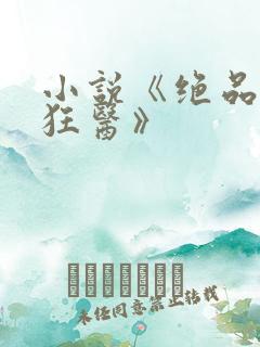 小说《绝品风流狂医》