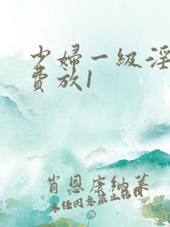 少妇一级淫片免费放1