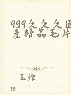 999久久久国产精品毛片
