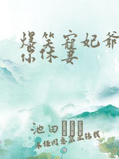 爆笑宠妃爷我等你休妻