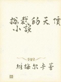 总裁的天价前妻 小说