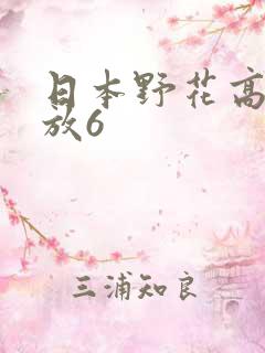 日本野花高清播放6