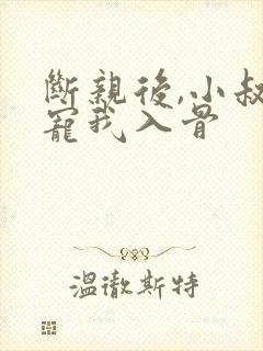 断亲后,小叔叔宠我入骨