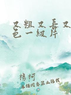 又粗又长又大黄色一级片