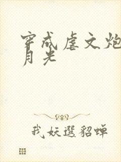 穿成虐文炮灰白月光