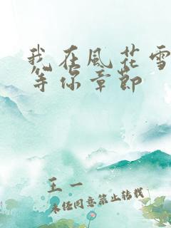 我在风花雪月里等你章节