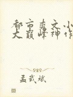 都市爽文小说十大巅峰神作