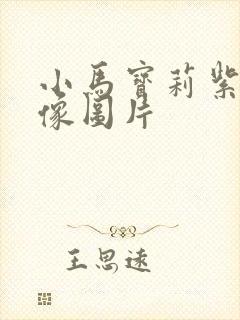 小马宝莉紫悦头像图片