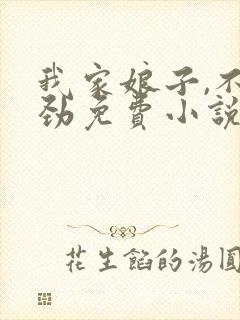 我家娘子,不对劲免费小说