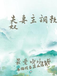 夫妻主调教绿帽奴