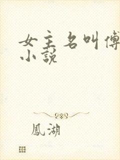 女主名叫傅九的小说