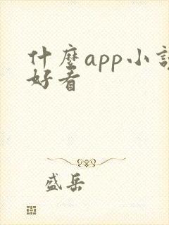 什么app小说好看