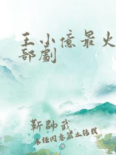 王小亿最火的十部剧