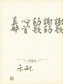 真心的谢谢你是哪首歌的歌词