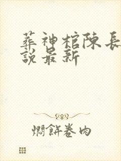 葬神棺陈长安小说最新