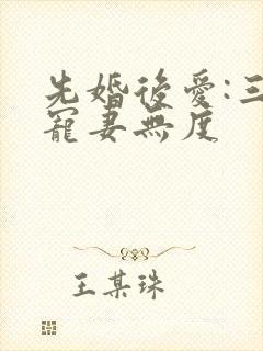 先婚后爱:三少宠妻无度