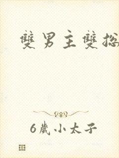 双男主双总裁文