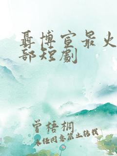 聂博宣最火的十部短剧