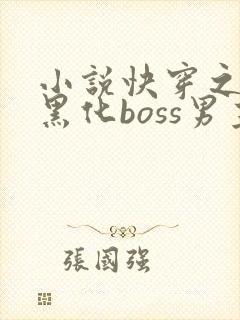 小说快穿之拯救黑化boss男主txt