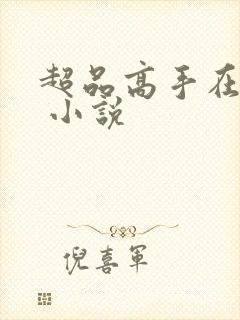 超品高手在都市 小说