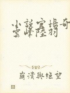 小说官场奇才刘云峰陆羽