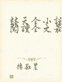 林天全小说免费阅读全文最新章节