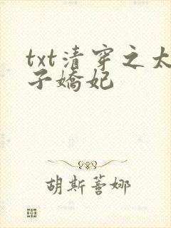 txt清穿之太子娇妃