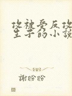 攻被受反攻最后生子的小说