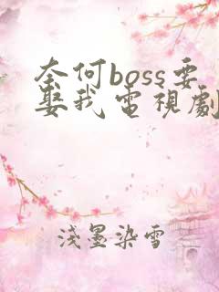 奈何boss要娶我电视剧演员表