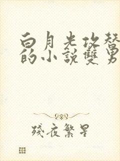 白月光攻替身受的小说双男主