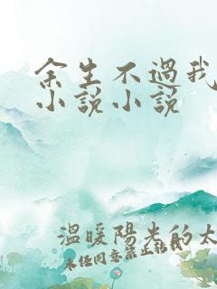 余生不过我爱你小说小说