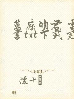 万历明君 电子书txt下载完整版