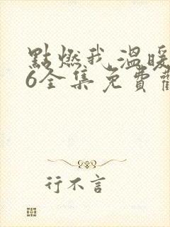 点燃我温暖你36全集免费观看