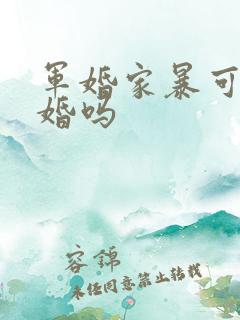 军婚家暴可以离婚吗