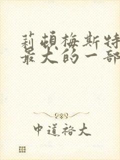 莉顿梅斯特牺牲最大的一部电影