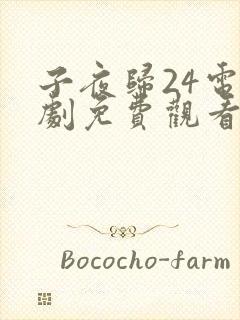 子夜归24电视剧免费观看全集高清