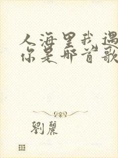 人海里我遇见了你是哪首歌的歌词