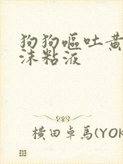 狗狗呕吐黄水泡沫粘液