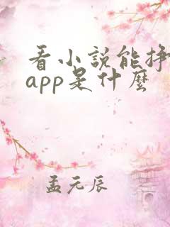 看小说能挣钱的app是什么