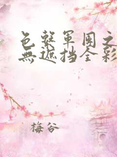 色系军团之里番无遮挡全彩