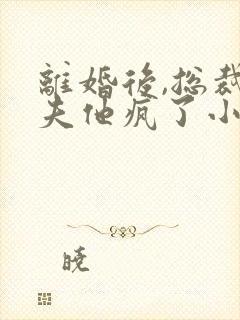 离婚后,总裁前夫他疯了小说排行榜